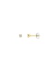 Boucles d'Oreilles NAYA 