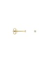 Boucles d'Oreille INDIE 